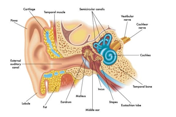 Eardrum Surgery