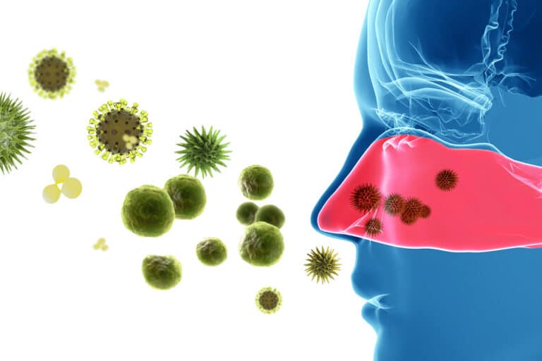 Charlotte Allergies - How To Deal With Pollen, Animal Dander, Dust ...